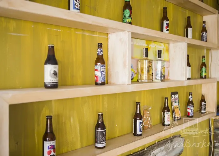 Arkabarka Floating * Belgrade